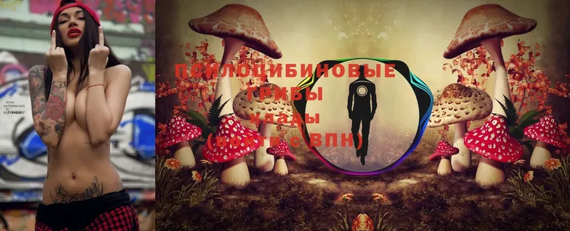 хочу   Безенчук  Псилоцибиновые грибы MAGIC MUSHROOMS 